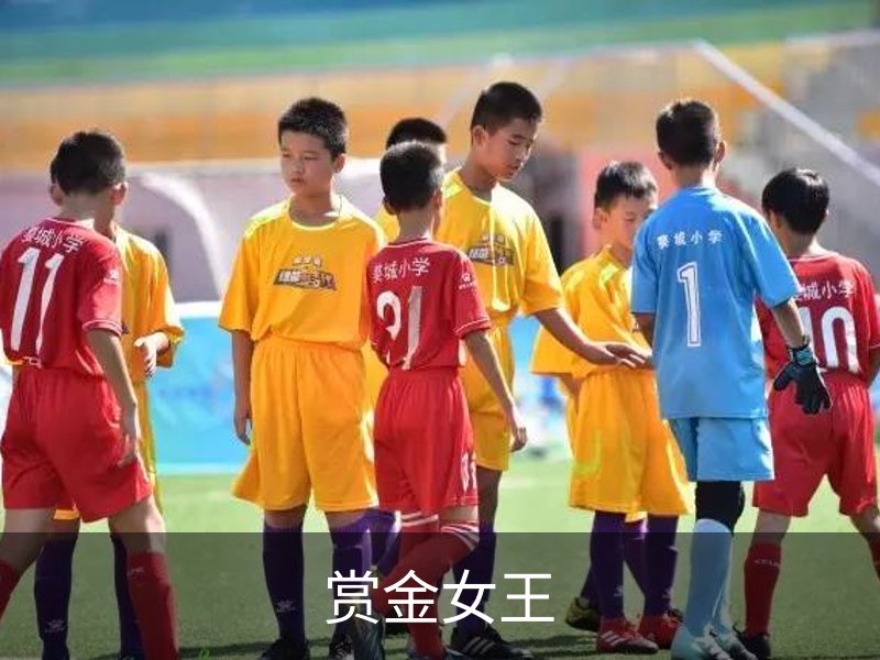 赏金女王简介
